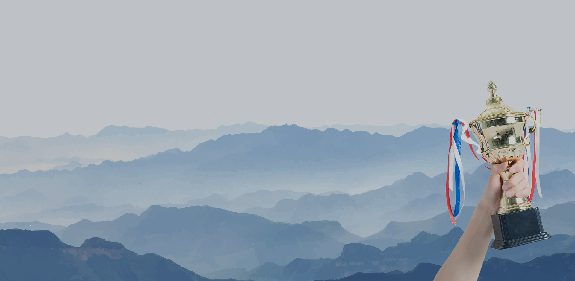 榮譽(yù)資質(zhì)